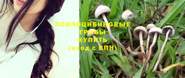марки lsd Рославль