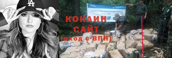 крисы Ростов